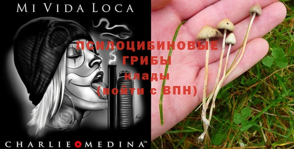 гашик Кодинск
