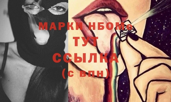 молекула духа Заполярный