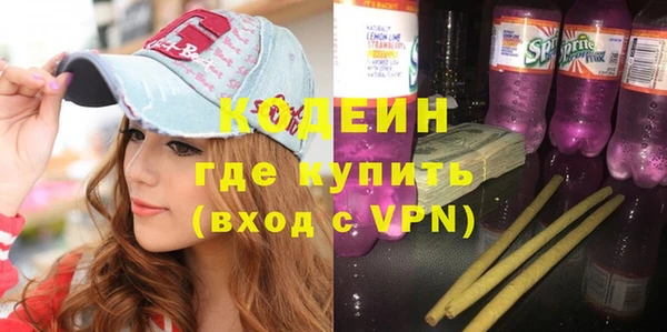 гашик Кодинск