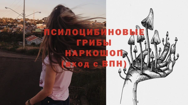 мет Козловка