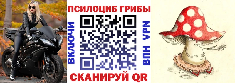 Купить закладки  Лесной  Галлюциногенные грибы Cubensis 